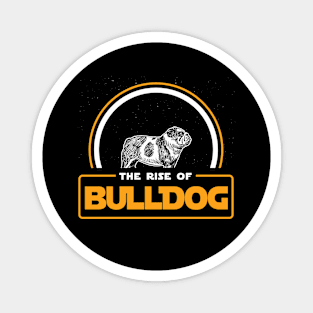 The Rise of Bulldog Magnet